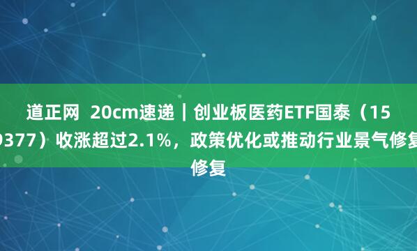 道正网  20cm速递｜创业板医药ETF国泰（159377）收涨超过2.1%，政策优化或推动行业景气修复
